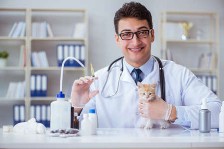 Cat visiting vet for regular checkupの写真素材