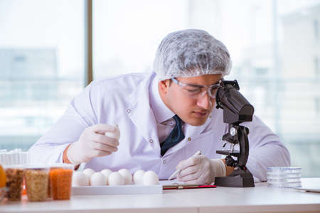 Nutrition expert testing food products in labの写真素材
