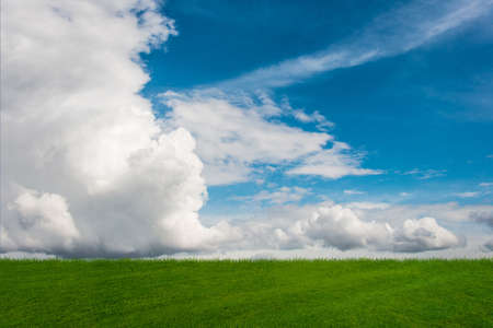 Cloudy sky and green grass in nature conceptの写真素材