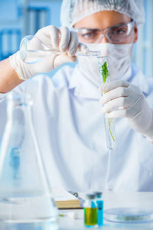 Biotechnology concept with scientist in labの写真素材