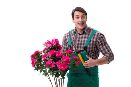Young man gardener isolated on whiteの写真素材