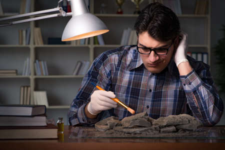 Archeologist working late night in officeの写真素材
