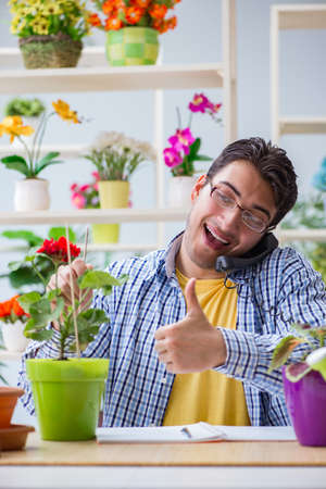 Young man florist working in a flower shopの写真素材