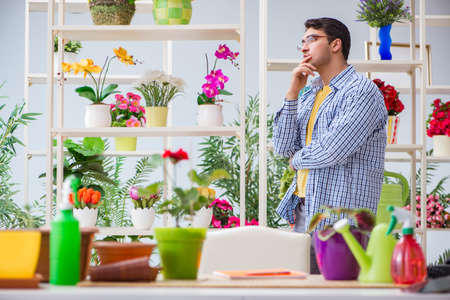 Young man florist working in a flower shopの写真素材