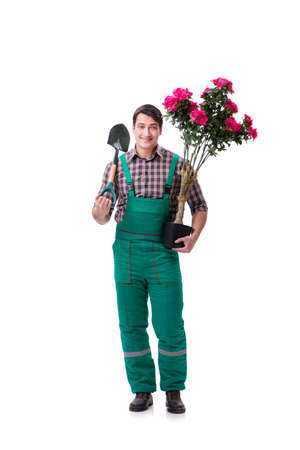 Young man gardener isolated on whiteの写真素材