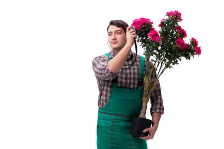Young man gardener isolated on whiteの写真素材