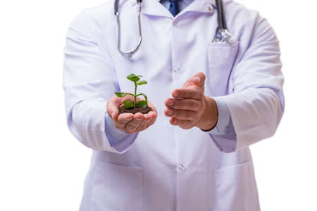 Scientist with green seedling in glass isolated on whiteの写真素材