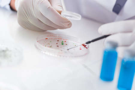 Male doctor working in the lab on virus vaccineの写真素材