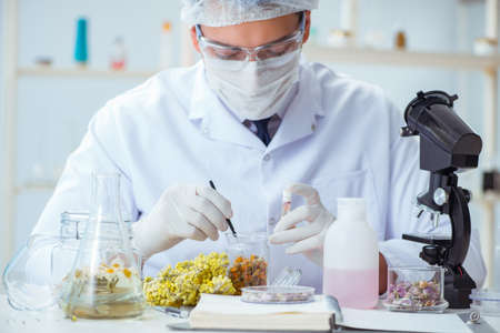 Chemist mixing perfumes in the labの写真素材