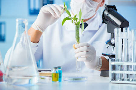 Biotechnology concept with scientist in lab