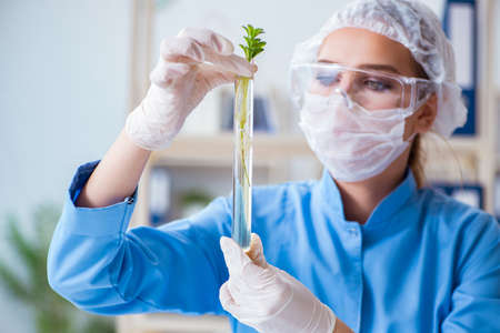Female scientist researcher conducting an experiment in a laboraの写真素材