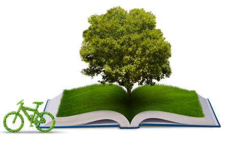 Open book and bicycle in ecological concept - 3d renderingの写真素材