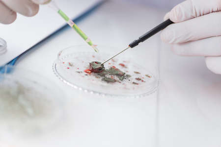 Male doctor working in the lab on virus vaccineの写真素材
