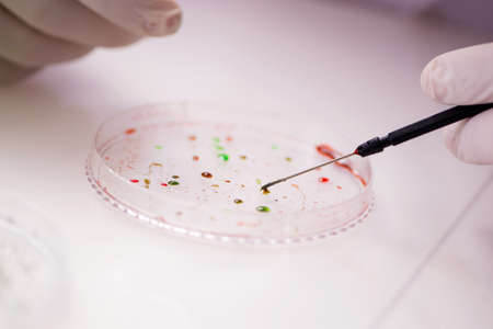 Male doctor working in the lab on virus vaccineの写真素材