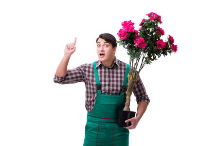 Young man gardener isolated on whiteの写真素材