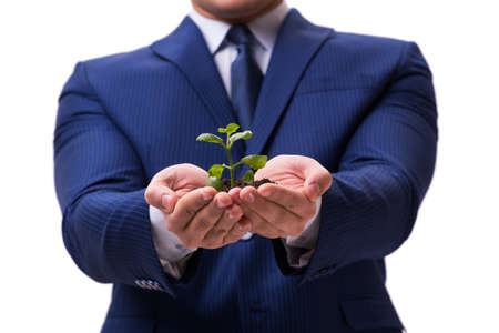 Businessman holding green sprouts isolated on whiteの写真素材