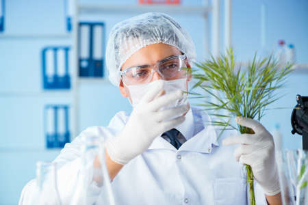 Biotechnology concept with scientist in labの写真素材