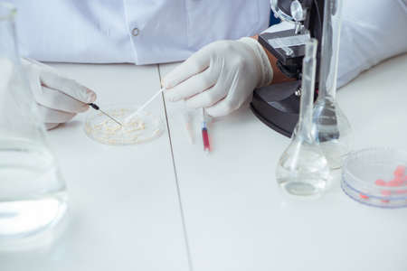 Female scientist researcher conducting an experiment in a laboraの写真素材