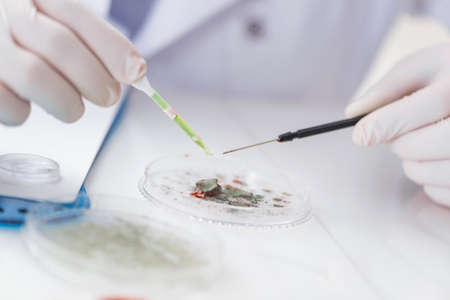 Male doctor working in the lab on virus vaccine