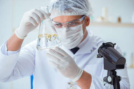Chemist mixing perfumes in the labの写真素材