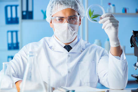 Female scientist researcher conducting an experiment in a laboraの写真素材