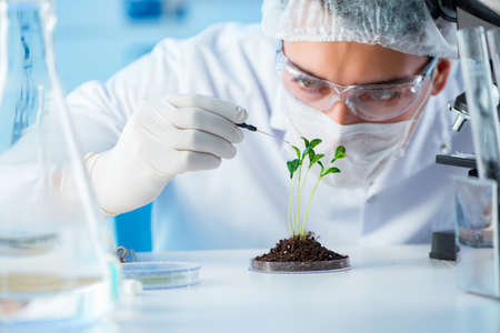 Biotechnology concept with scientist in labの写真素材
