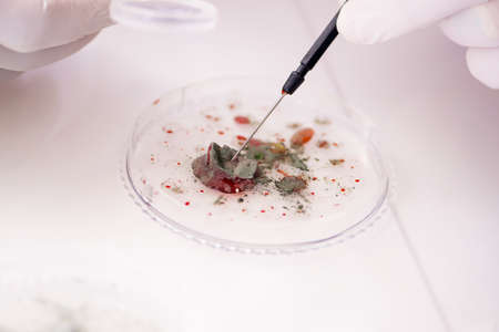 Male doctor working in the lab on virus vaccineの写真素材