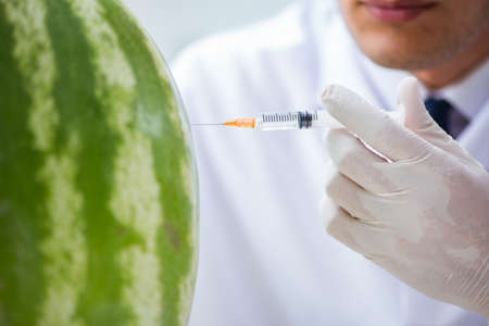 Scientist testing watermelon in labの写真素材
