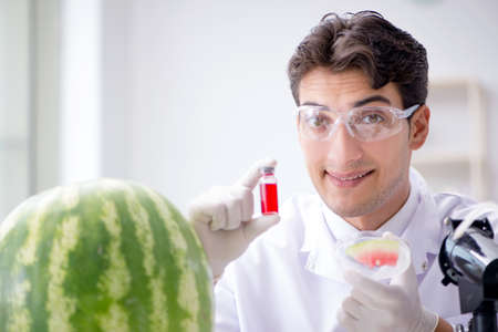 Scientist testing watermelon in labの写真素材