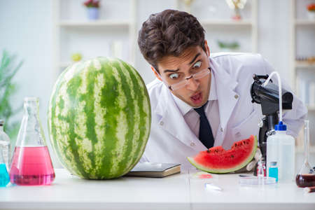 Scientist testing watermelon in labの写真素材