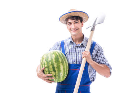 Young farmer with watermelon isolated on whiteの写真素材