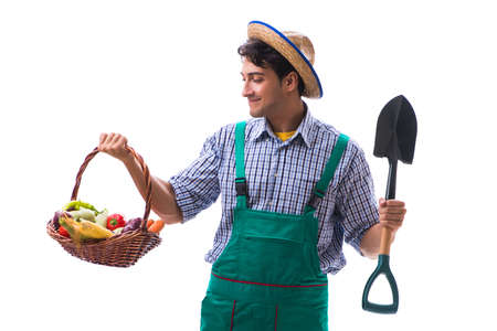 Young farmer isolated on the white backgroundの写真素材