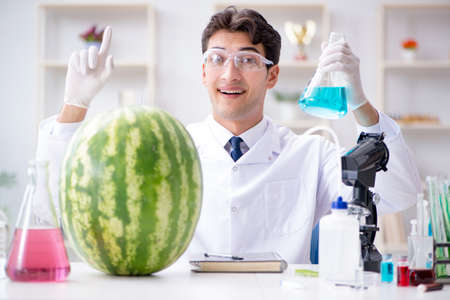Scientist testing watermelon in labの写真素材