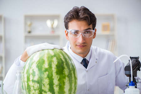 Scientist testing watermelon in labの写真素材
