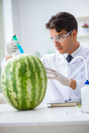 Scientist testing watermelon in labの写真素材