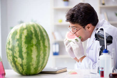 Scientist testing watermelon in labの写真素材