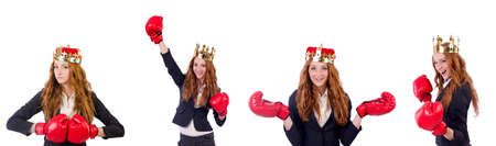 Queen boxer businesswoman isolated on white backgroundの写真素材