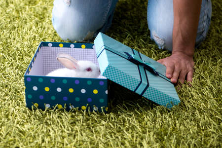 Young man getting rabbit as birthday present