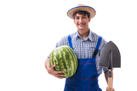 Young farmer with watermelon isolated on whiteの写真素材