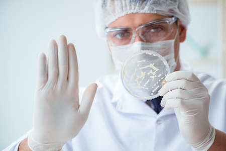 Female scientist researcher conducting an experiment in a laboraの写真素材