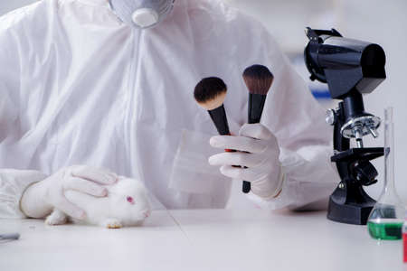 White rabbit in scientific lab experiment