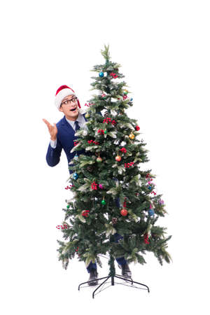 Businessman decorating christmas tree isolated on white backgroundの写真素材