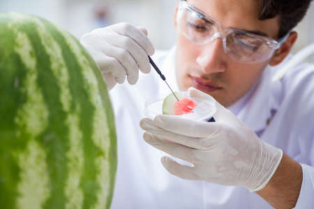 Scientist testing watermelon in labの写真素材