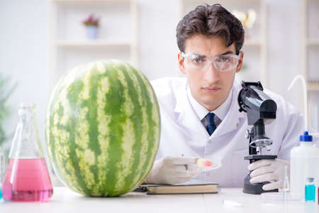 Scientist testing watermelon in labの写真素材