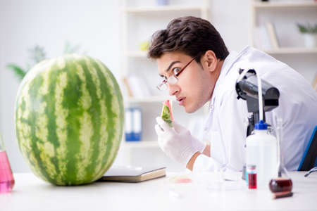 Scientist testing watermelon in labの写真素材