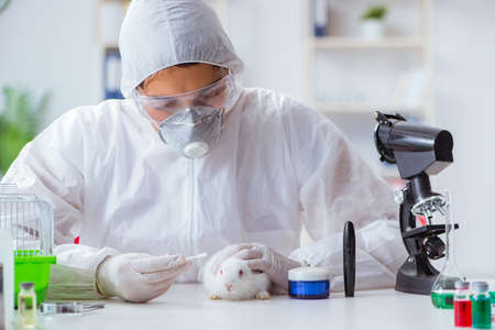 Scientist doing animal experiment in lab with rabbitの写真素材