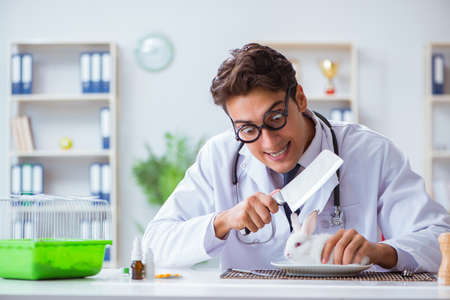 Mad crazy doctor preparing to eat rabbitの写真素材