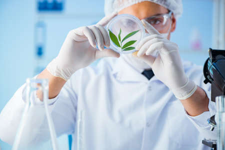 Biotechnology concept with scientist in labの写真素材