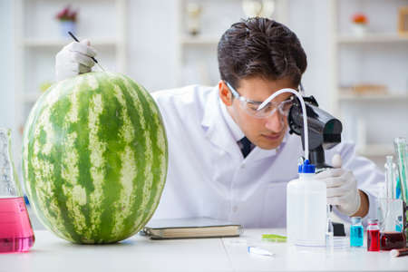 Scientist testing watermelon in labの写真素材