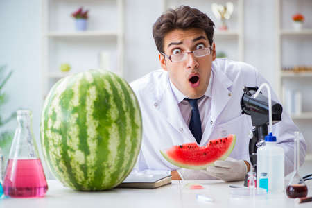 Scientist testing watermelon in labの写真素材